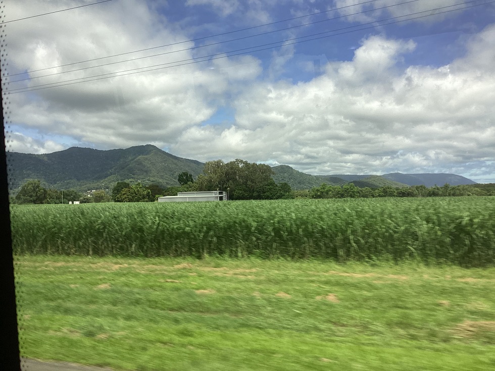 Cairns Tour