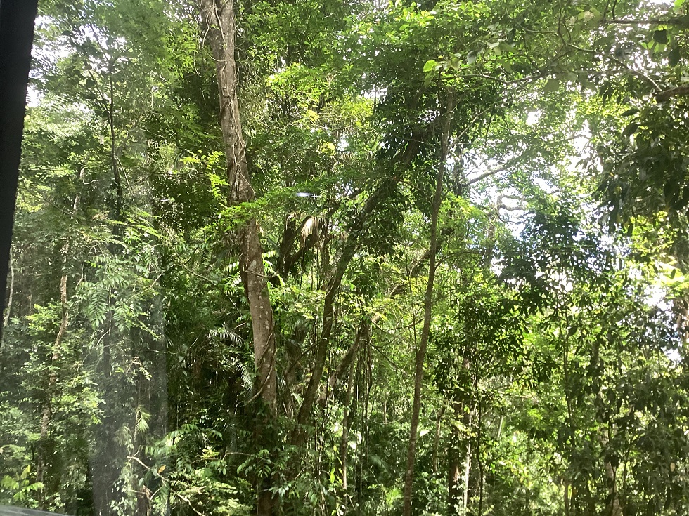 Cairns Tour