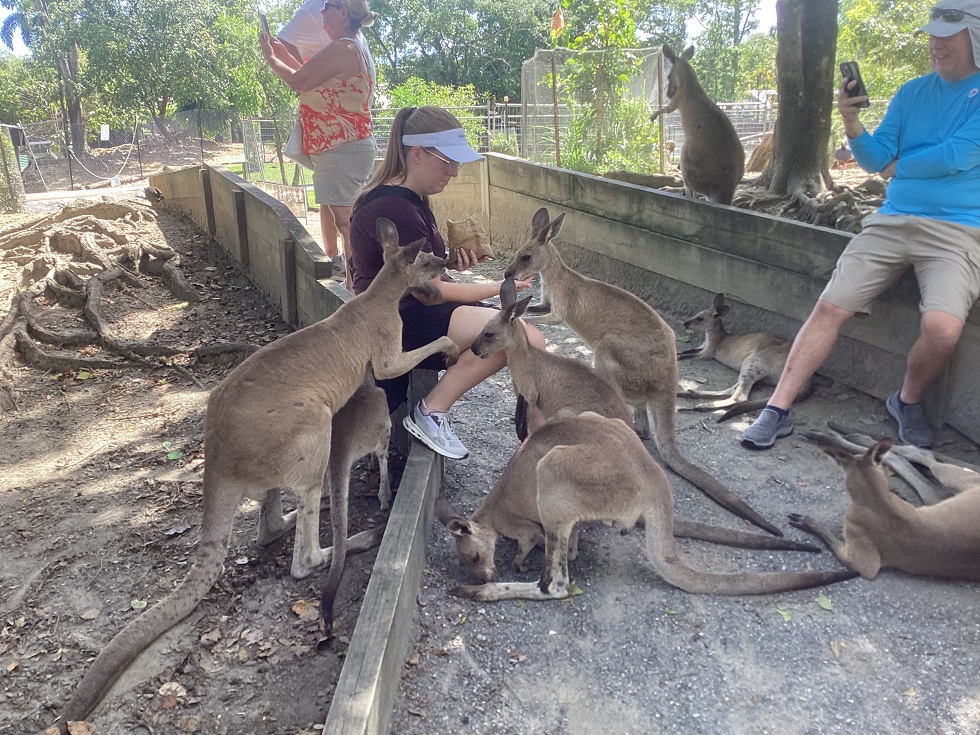 Port Douglas Tour