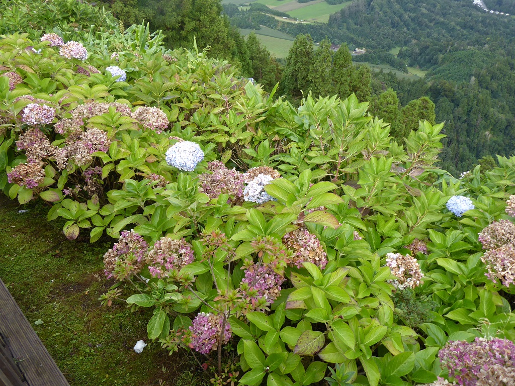 Azores Islands  Tour