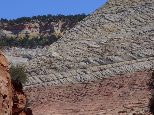 Yvonne & Chuck at Zion Park 