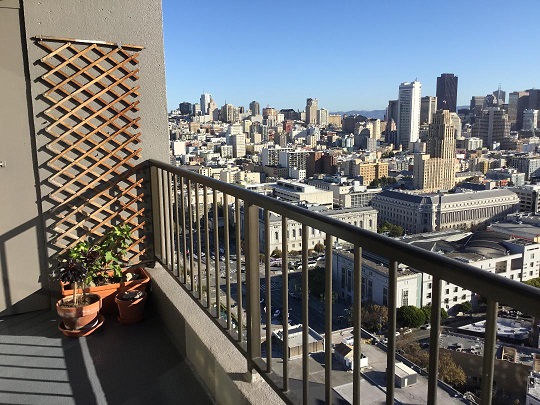 Balcony Plantings