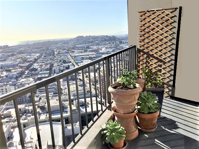 Balcony Plantings