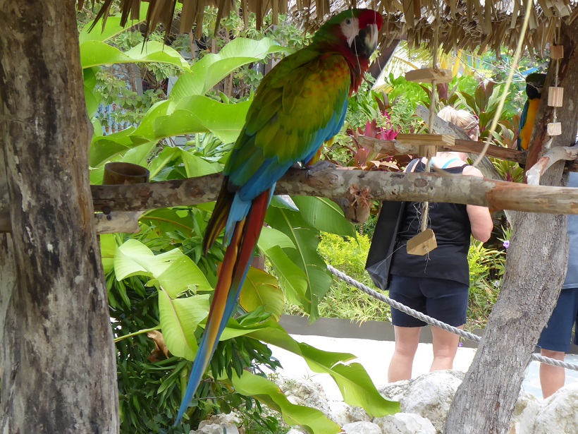 Dominican Republic Island