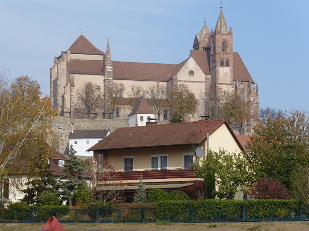 Rhine Cruise