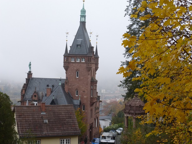 Rhine Cruise