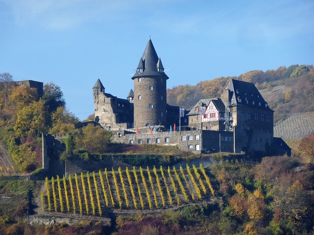 Rhine Cruise