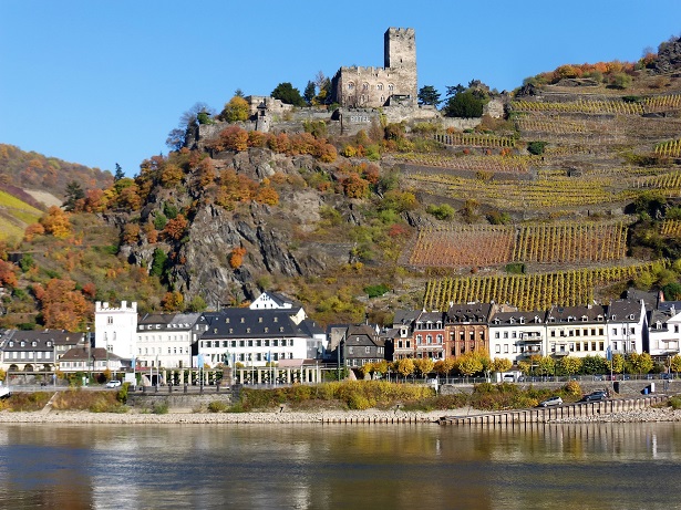 Rhine Cruise