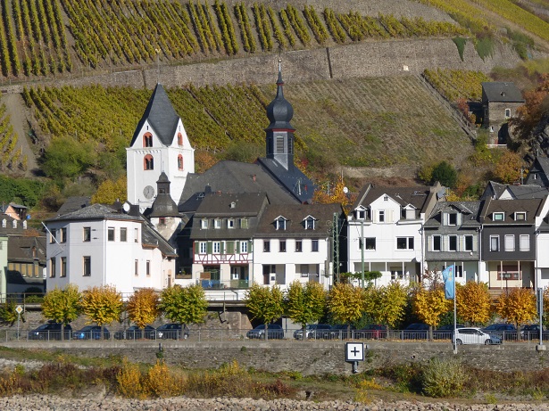 Rhine Cruise