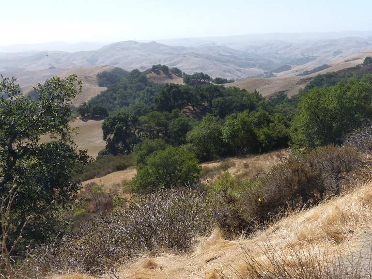 Hearst Castle Trip