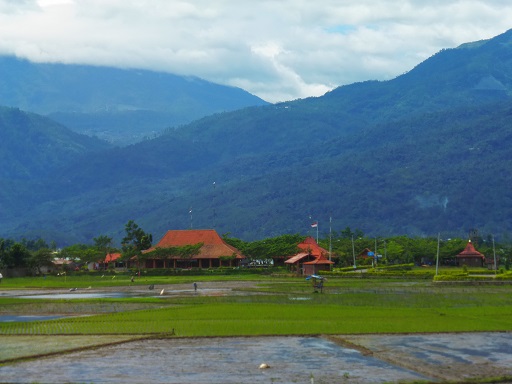 Train to Borobudur