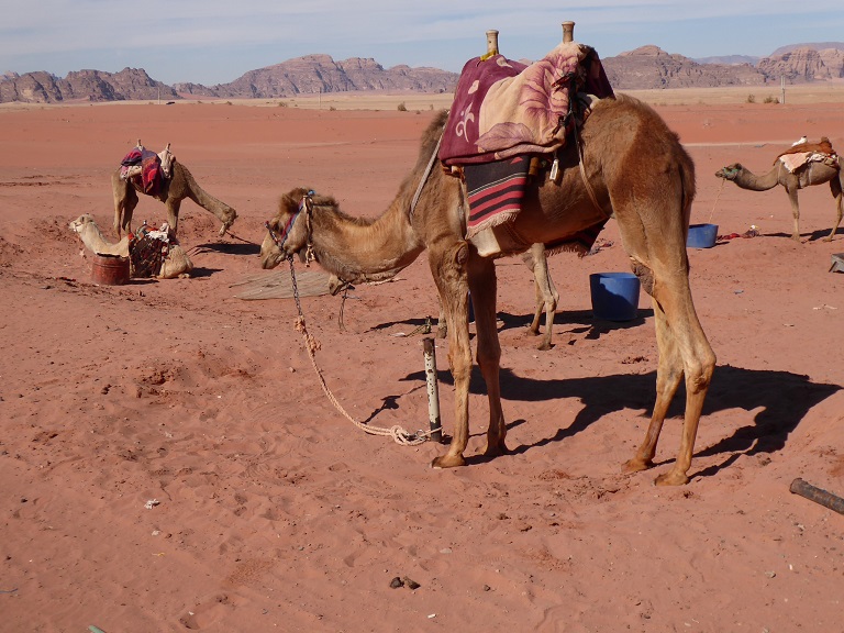 Wadi Rum 