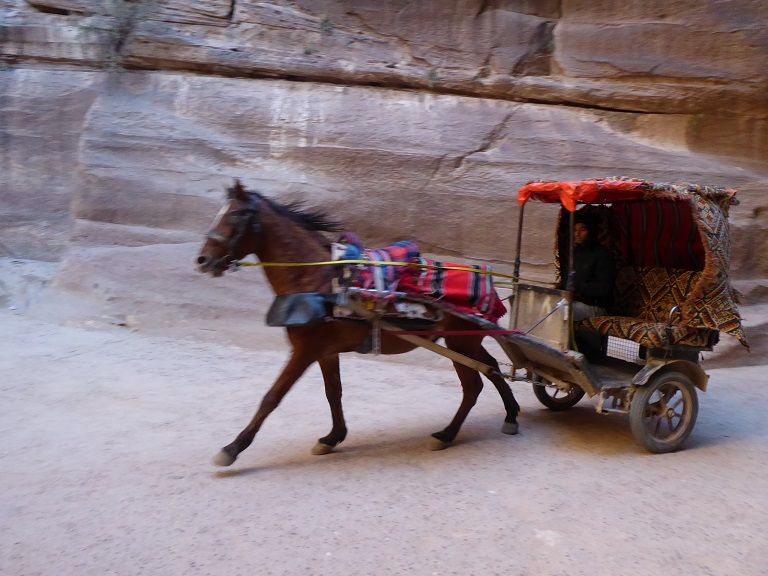 Petra Petra