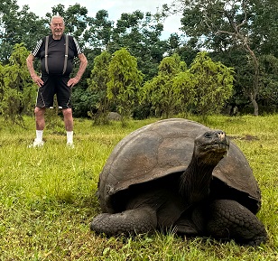 Galapagos Tortoise