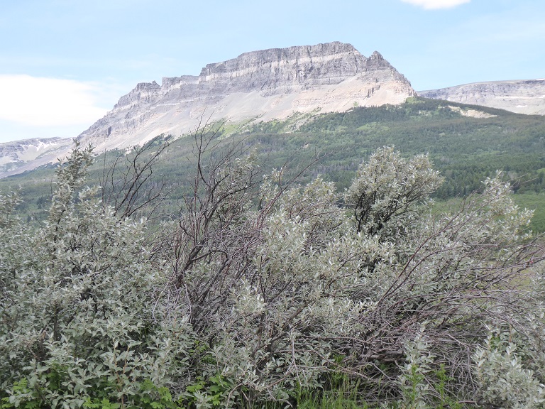 Glacier National Park