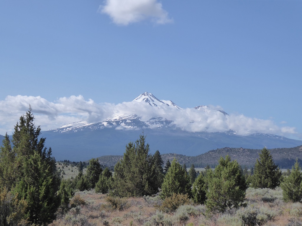 Mt. Shasta