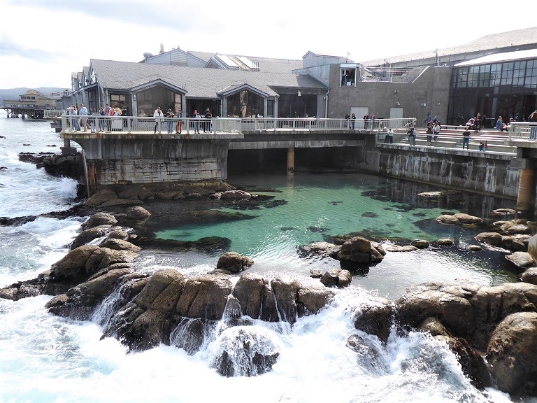 Monterey Bay Aquarium