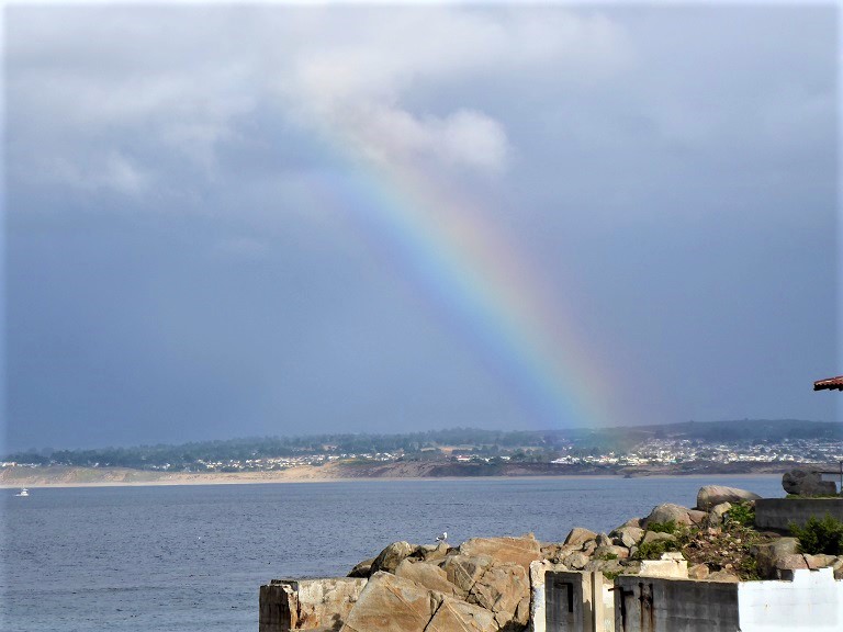 Monterey Bay Aquarium