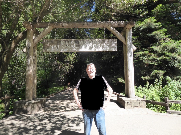 Muir Woods Tour