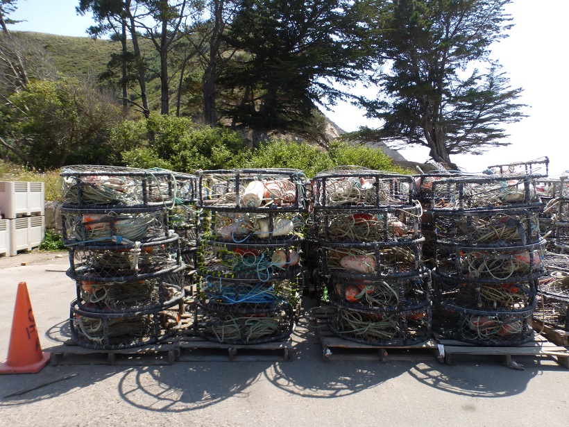 Point Arena & Mendocino County