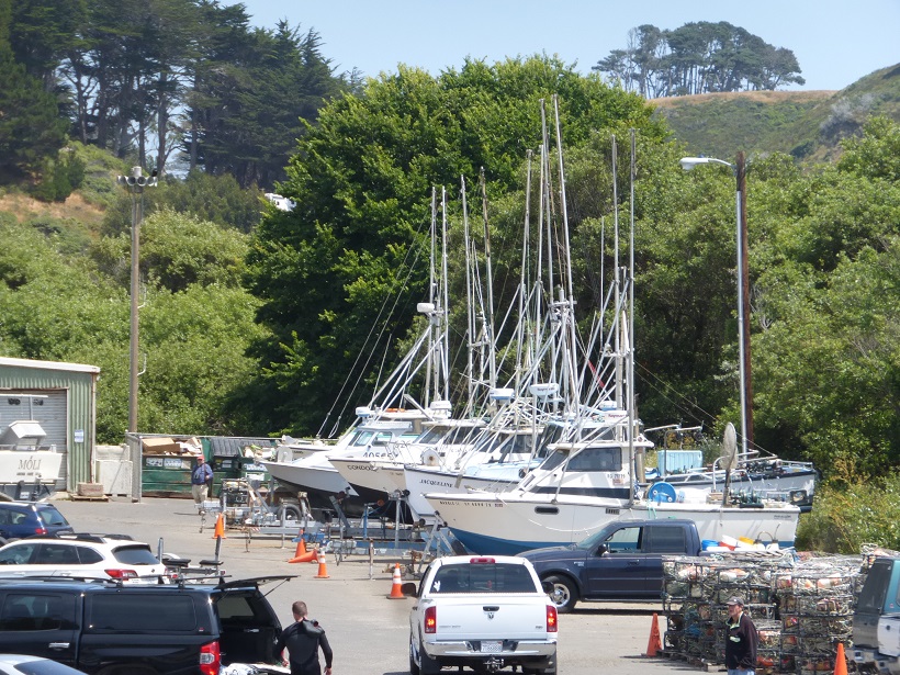 Point Arena & Mendocino County