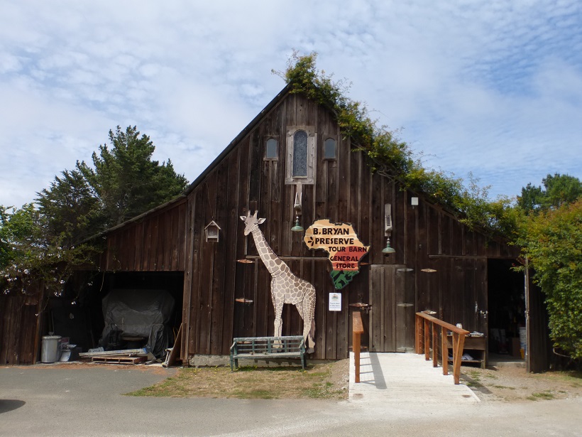 Point Arena & Mendocino County