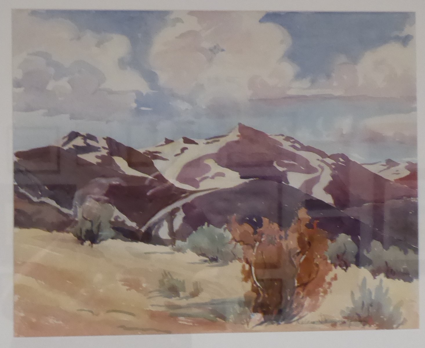 Nevada Museum of Art
