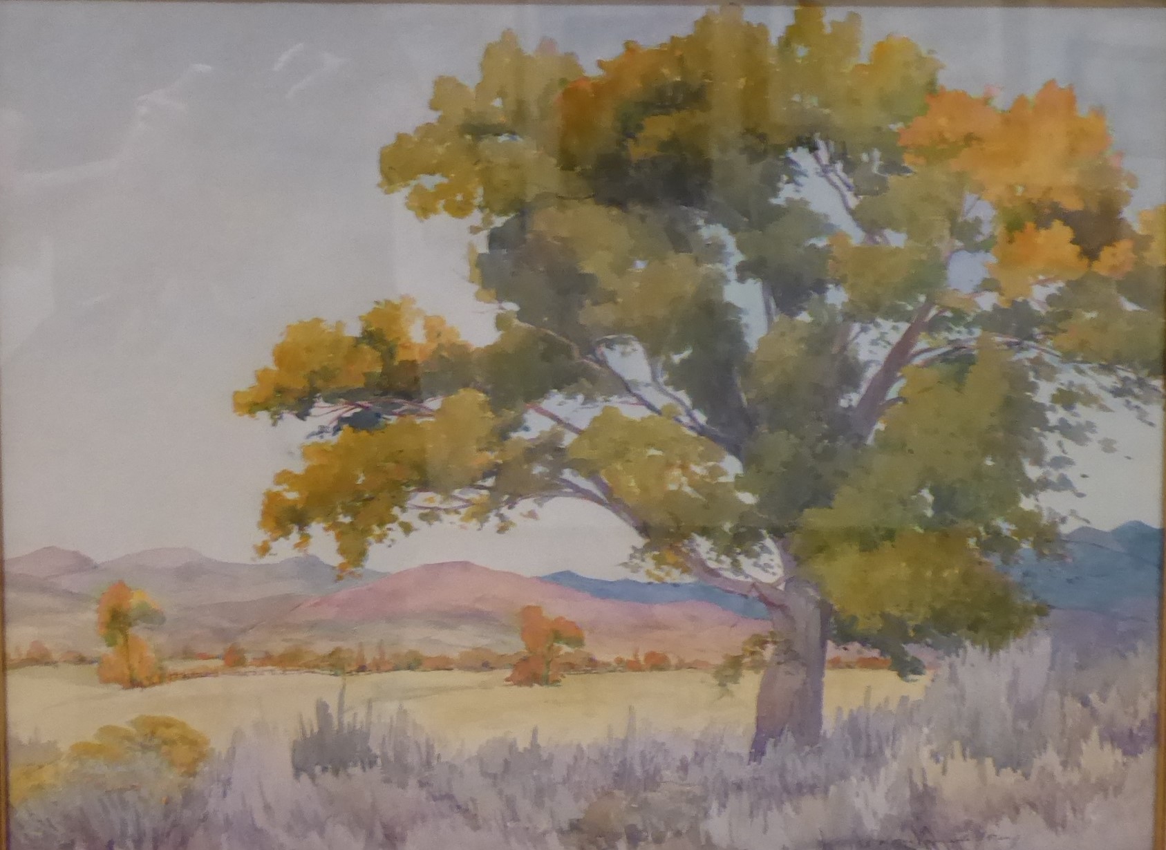 Nevada Museum of Art