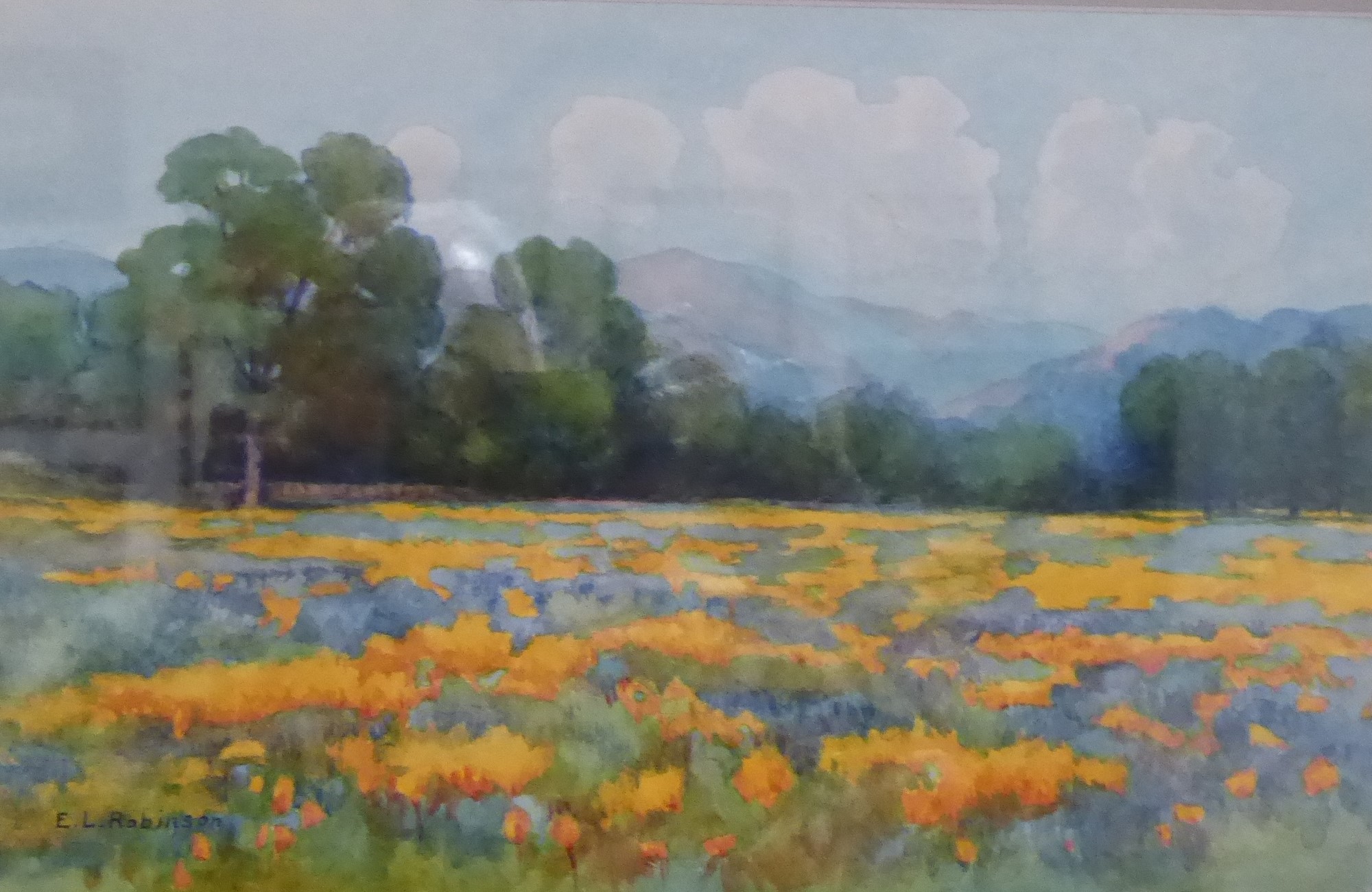 Nevada Museum of Art