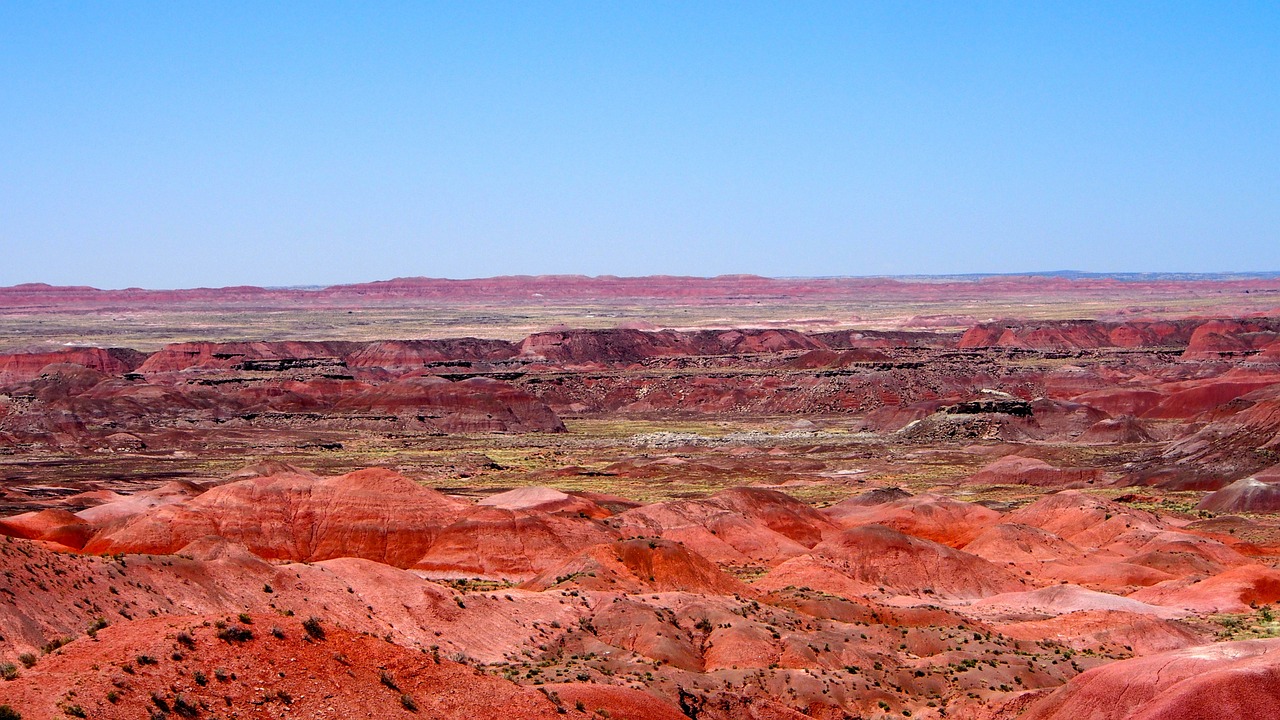 Arizona