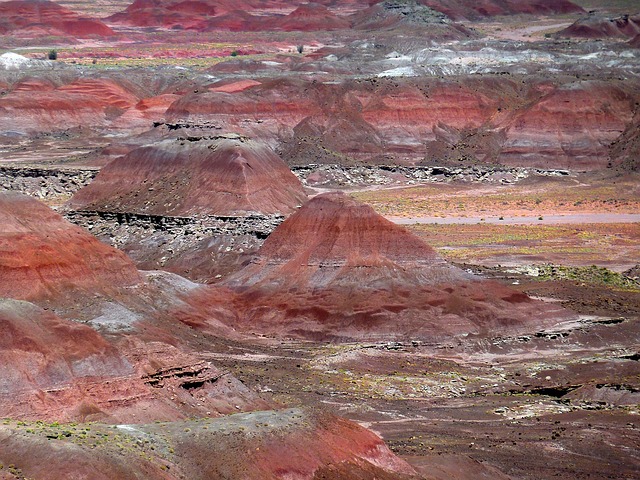 Arizona