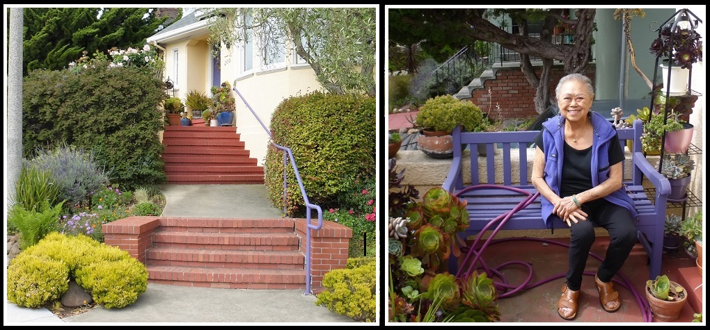 Front Steps! Front Steps!