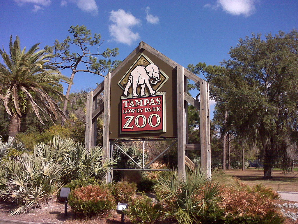 Tampa Florida Tour