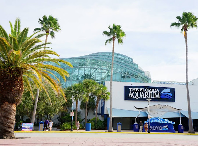Tampa Florida Tour
